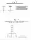Fig. 02 - COMPOSITE MICROARRAY SLIDES