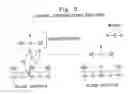 Fig. 03 - COMPOSITE MICROARRAY SLIDES