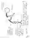 Fig. 16 - Systems and methods for detection of analytes in biological fluids