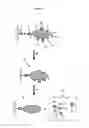 Fig. 03 - Method for detecting transient ligand interactions