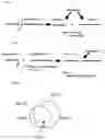 Fig. 03 - Method of identifying protein with the use of mass spectometry