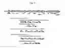 Fig. 06 - Carotenoid hydroxylase gene, method for preparing hydroxylated carotenoid, and novel geranylgeranyl pyrophosphate synthase