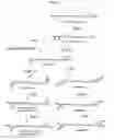 Fig. 11 - Carotenoid hydroxylase gene, method for preparing hydroxylated carotenoid, and novel geranylgeranyl pyrophosphate synthase