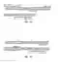 Fig. 05 - Efficient protein expression system