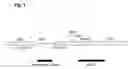 Fig. 02 - Enzymes
