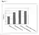 Fig. 05 - Enzymes