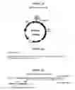 Fig. 27 - Yeast expression vectors for production of ITF