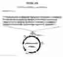 Fig. 38 - Yeast expression vectors for production of ITF
