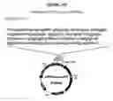 Fig. 41 - Yeast expression vectors for production of ITF