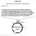 Fig. 44 - Yeast expression vectors for production of ITF