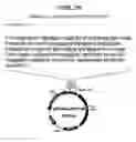 Fig. 45 - Yeast expression vectors for production of ITF