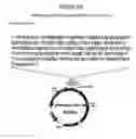 Fig. 46 - Yeast expression vectors for production of ITF