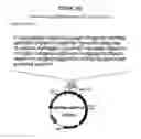 Fig. 48 - Yeast expression vectors for production of ITF