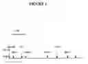 Fig. 02 - Rapid growing microorganisms for biotechnology applications