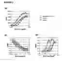 Fig. 04 - Fusion proteins of interferon alpha muteins with improved properties
