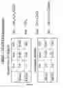 Fig. 26 - Chondroitinase ABC I and methods of degrading therewith