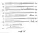 Fig. 03 - Genes involved in polyketide synthase pathways and uses thereof