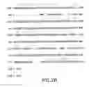 Fig. 05 - Genes involved in polyketide synthase pathways and uses thereof