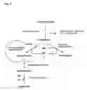 Fig. 03 - Process for producting 1,3-propanediol and or/3-hydroxypropionic acid