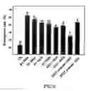 Fig. 09 - Biocontrol formulation containing streptomyces spp., method for preparing the formulation and relevant use