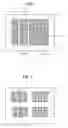 Fig. 02 - Cell culture patterning substrate