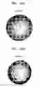 Fig. 07 - Quantitative cell dispensing apparatus using liquid drop manipulation
