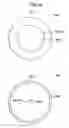 Fig. 23 - Device for cell culture