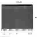 Fig. 42 - Device for cell culture