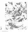 Fig. 03 - Method for preparing stem cells from fat tissue