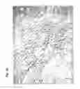 Fig. 17 - Method for preparing stem cells from fat tissue