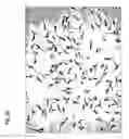 Fig. 23 - Method for preparing stem cells from fat tissue