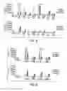 Fig. 06 - Methods and devices for the long-term culture of hematopoietic progenitor cells
