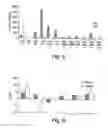 Fig. 08 - Methods and devices for the long-term culture of hematopoietic progenitor cells