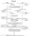 Fig. 44 - METHODS FOR PRODUCING MEMBERS OF SPECIFIC BINDING PAIRS