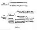 Fig. 07 - Multidimensional mass spectrometry or serum and celluar lipids directly from biologic extracts
