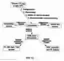 Fig. 16 - Multidimensional mass spectrometry or serum and celluar lipids directly from biologic extracts