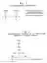 Fig. 02 - COMPOSITE MICROARRAY SLIDES