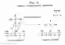 Fig. 03 - COMPOSITE MICROARRAY SLIDES
