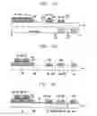 Fig. 06 - Liquid crystal display and fabrication method thereof
