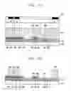Fig. 10 - Liquid crystal display and fabrication method thereof