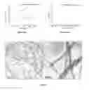 Fig. 12 - Single, multi-walled, functionalized and doped carbon nanotubes and composites thereof