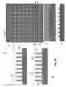 Fig. 26 - Method for realizing a multispacer structure, use of said structure as a mold and circuital architectures obtained from said mold