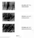 Fig. 06 - Method for making an article hydrophobic and oleophobic as well as articles made therefrom and their use