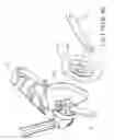 Fig. 02 - Tool-less quick locking screw nut