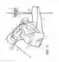 Fig. 06 - Method for making a picnic roast and the resultant product