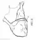 Fig. 09 - Method for making a picnic roast and the resultant product