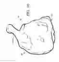 Fig. 11 - Method for making a picnic roast and the resultant product