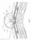 Fig. 05 - Vented ridge seal assembly