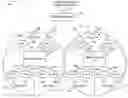 Fig. 01 - Methods and apparatus for reporting and/or using control information