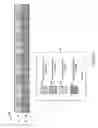 Fig. 09 - Methods and apparatus for communicating information utilizing a plurality of dictionaries